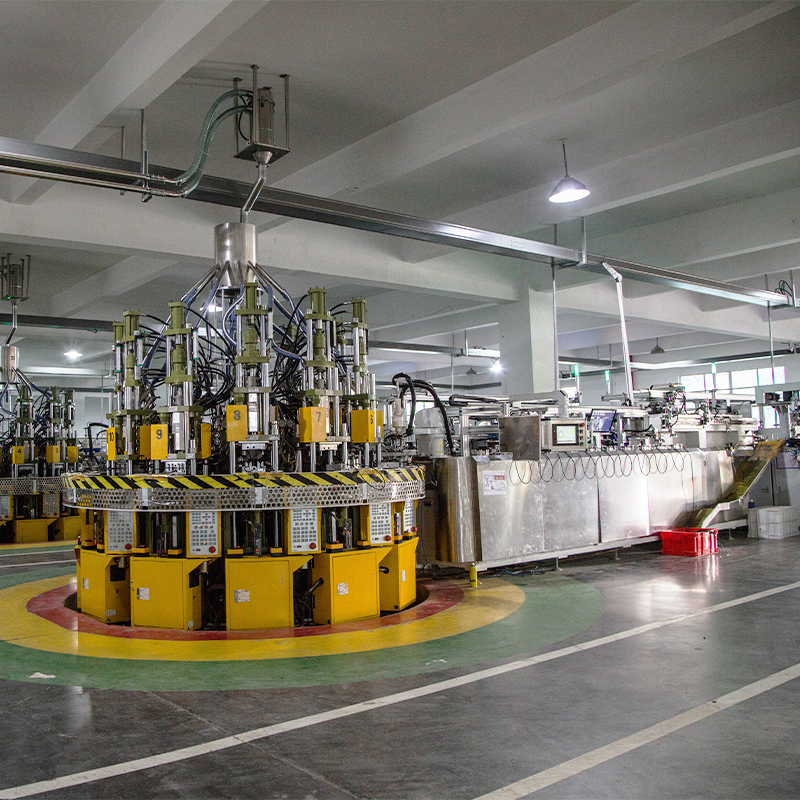 Krajowa standardowa automatyczna linia produkcyjna z dwiema wtyczkami
